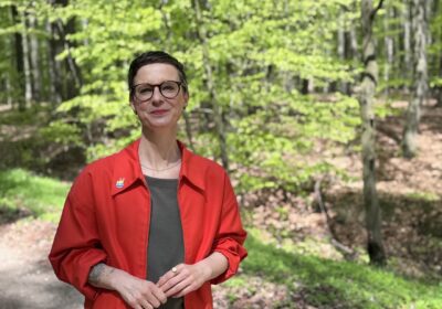 Entscheidung Anne Shepley