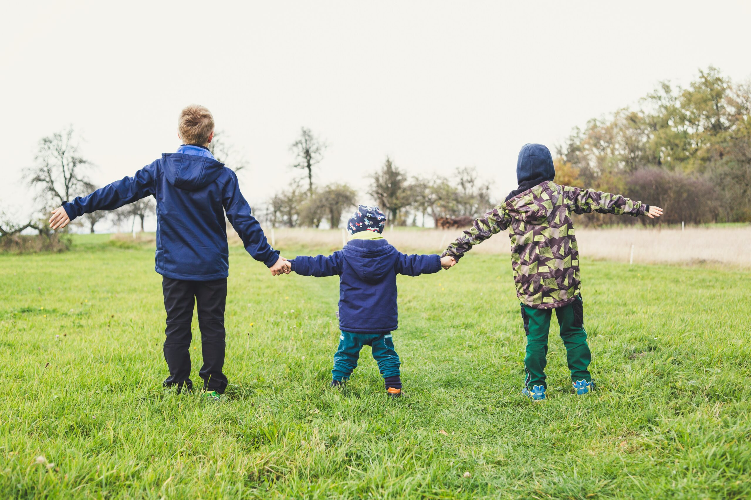 Kinderarmut: Bündnisgrüne fordern bessere Information über Bildungs- und Teilhabeleistungen // Shepley: „Das Land muss dafür sorgen, dass diese Leistungen bei den Kindern ankommen“